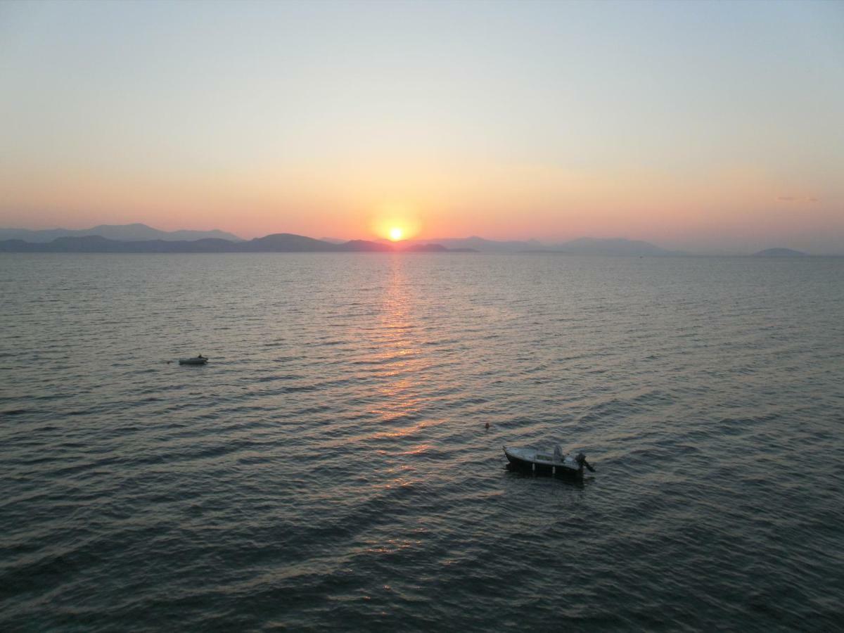 Seaview Self Catering Apartment - Helen No 1 シロピカド エクステリア 写真