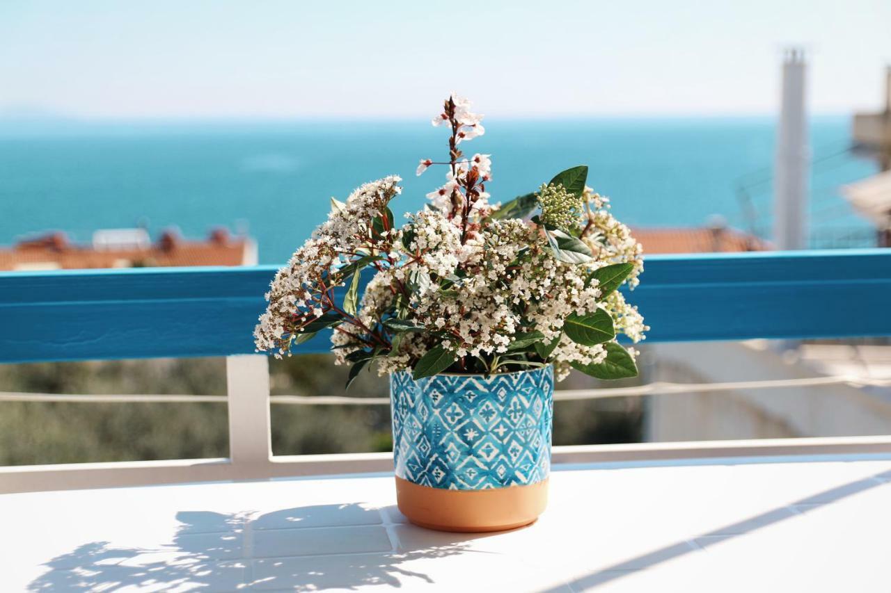 Seaview Self Catering Apartment - Helen No 1 シロピカド エクステリア 写真